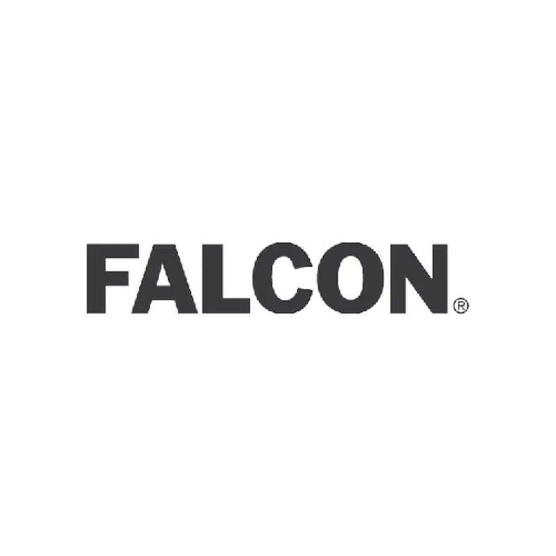 Falcon W201D606 W Series Patio Dane Lever Lock with 30197 Latch 30148 Strike Satin Brass Finish