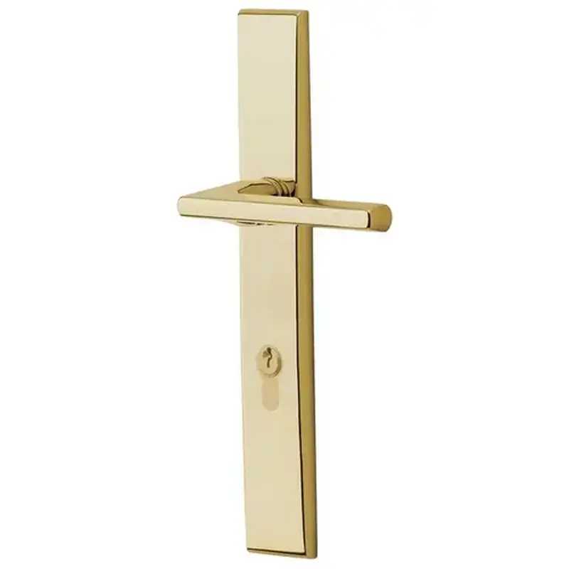 Baldwin MP013003PAT4 Lakeshore Multi Point Trim Patio Configuration 4 Lifetime Brass Finish