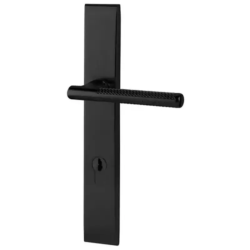 Baldwin MP013190FD1 Lakeshore Multi Point Trim Full Dummy Configuration 1 Satin Black Finish