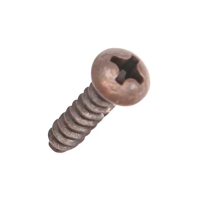 Statuary Bronze Round Head Screw, #6 x 5/8"