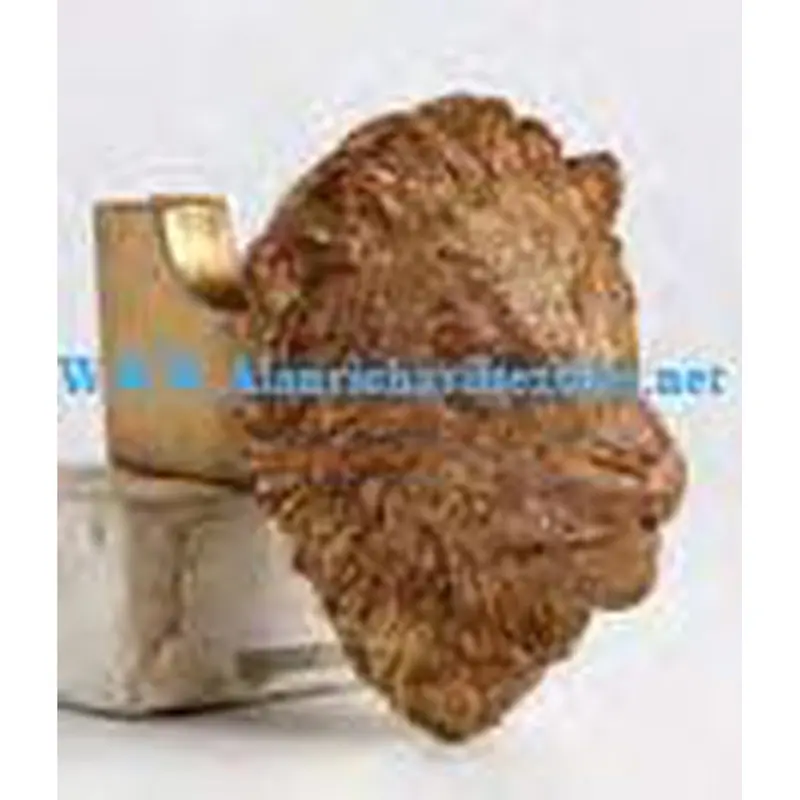 Buckingham Lion Decorative Bracket & Scarfholder