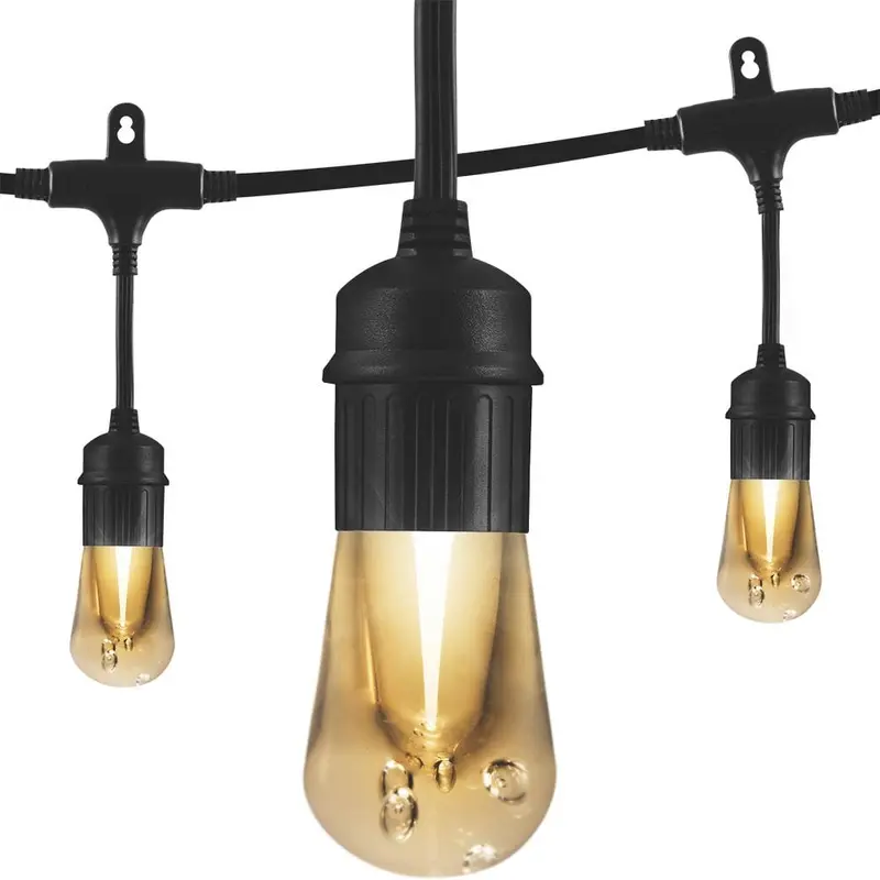 12-Bulb 24 ft. Vintage  Cafe Integrated LED String Lights, BlackBlack/12ft / 1 Pack
