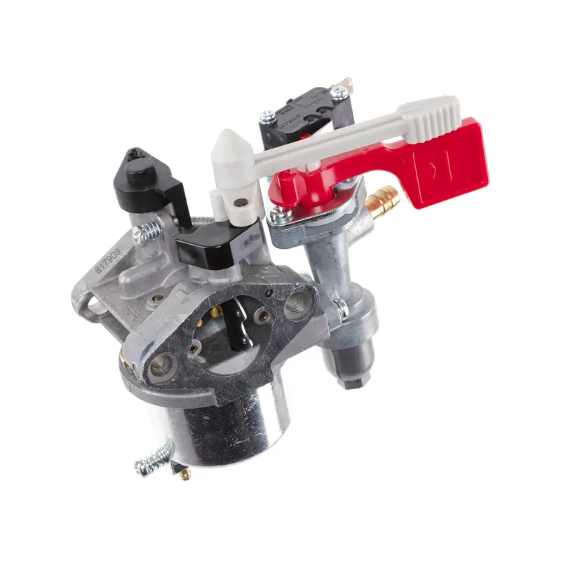 Briggs and Stratton 595318 Carburetor