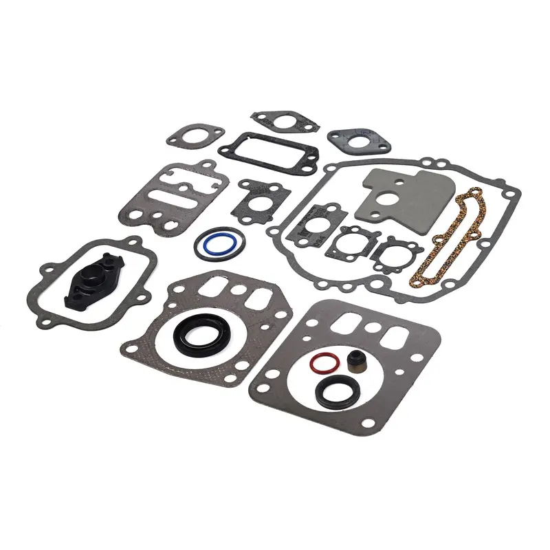 Briggs and Stratton 795442 Engine Gasket Set