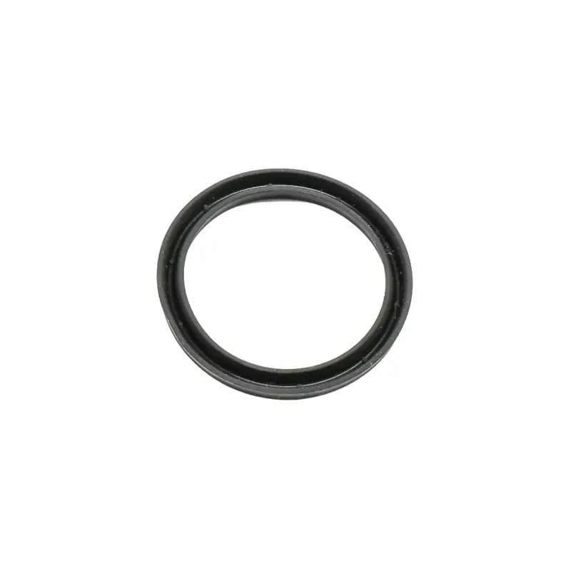 Gardner Denver Packing Ring - 60AM46