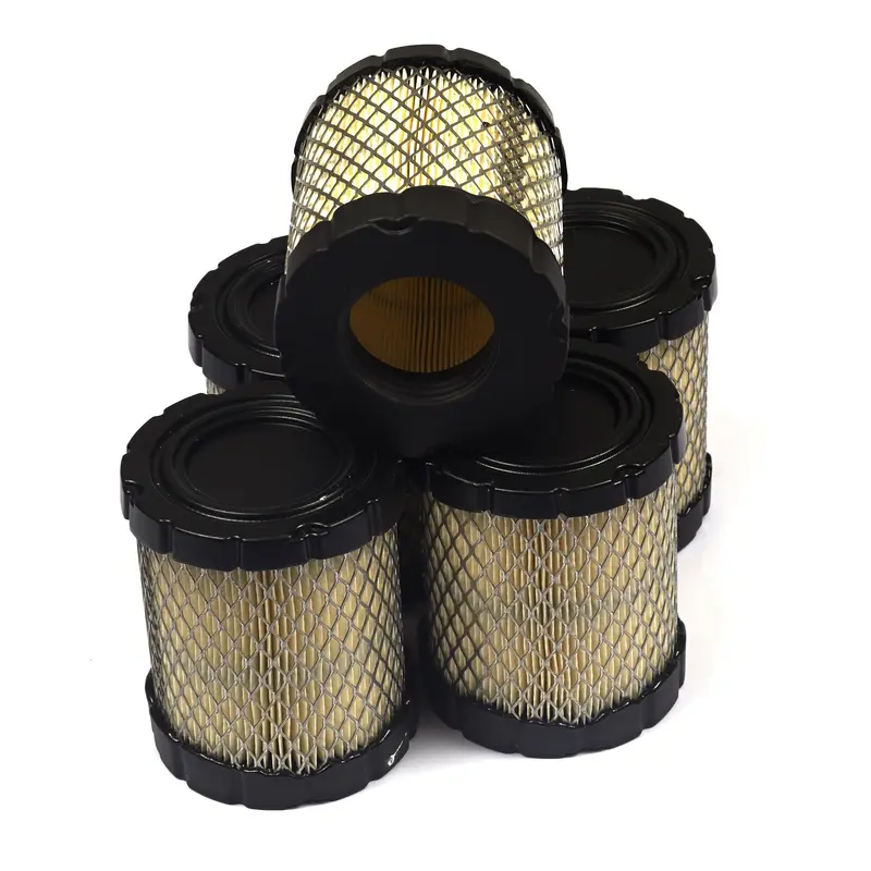 Briggs and Stratton 4250 A/C - Filter (5 x 798897)