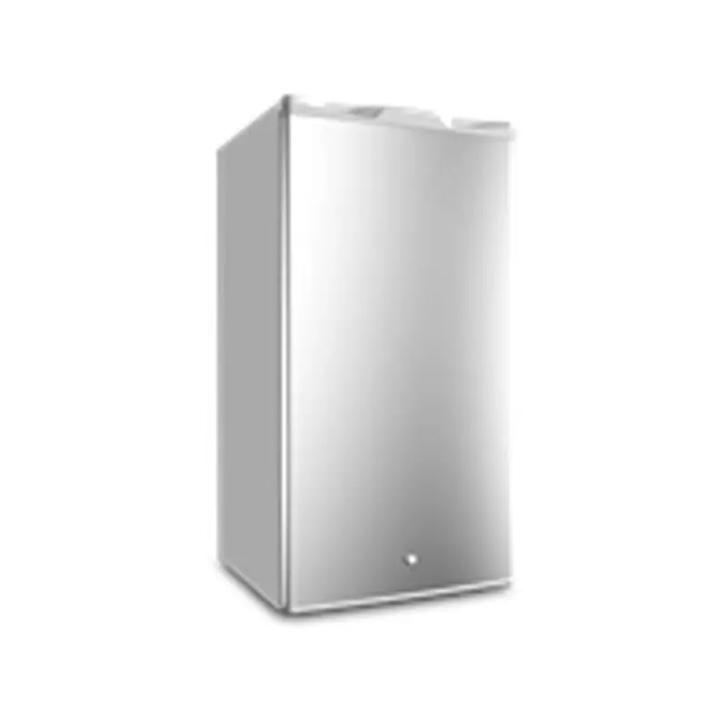 RF121LES -5ft - 1-Door Refrigerator - Silver