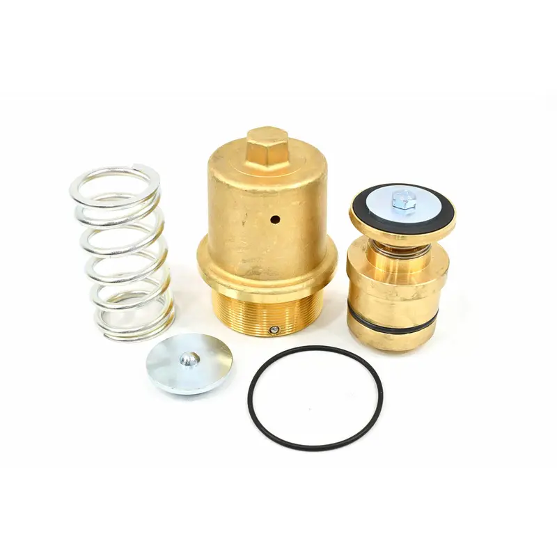 Kaeser Minimum Pressure Check Valve Overhaul Kit Replacement - 202127.20020