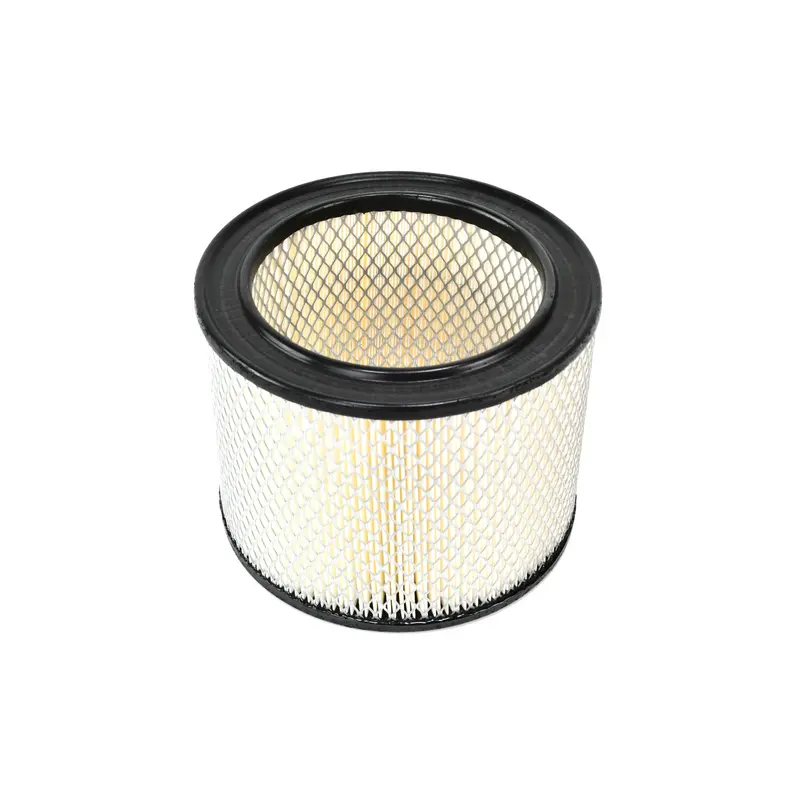 Mann Air Filter Replacement - C21138/1