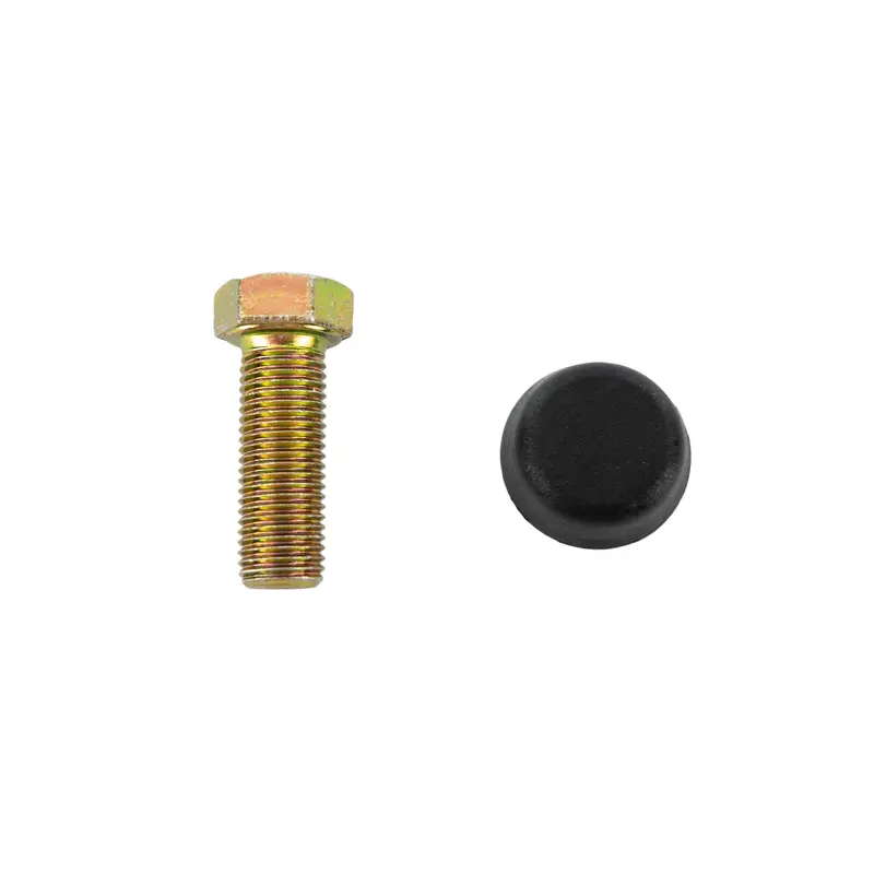 Bolt and Cap Replacement for Front Seat Belt