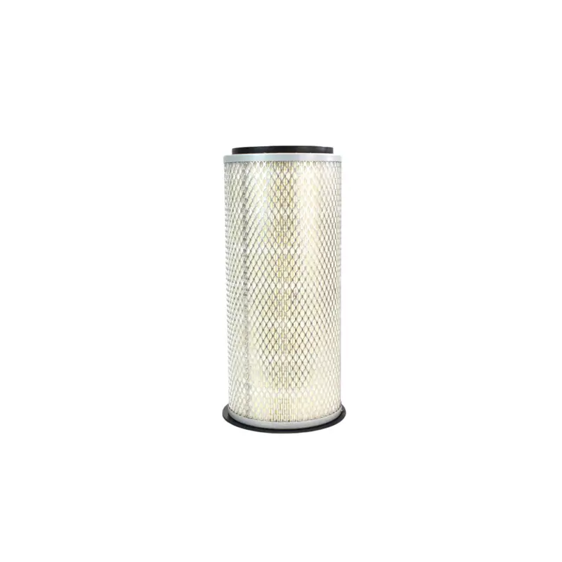 Curtis Air Filter Replacement - RN24076-1