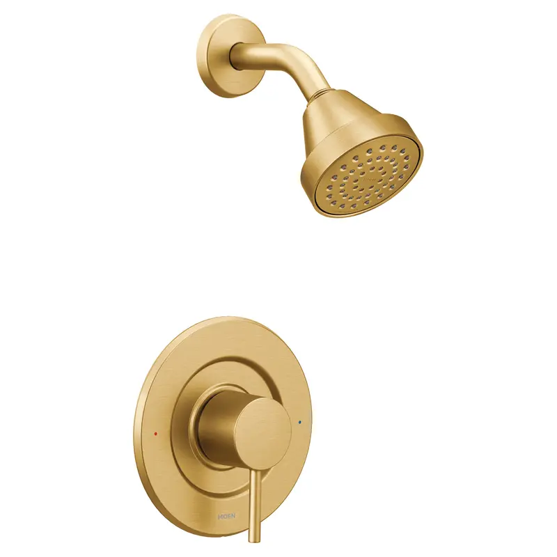 Align Chrome Posi-Temp(R) Eco-Performance ShowerChrome