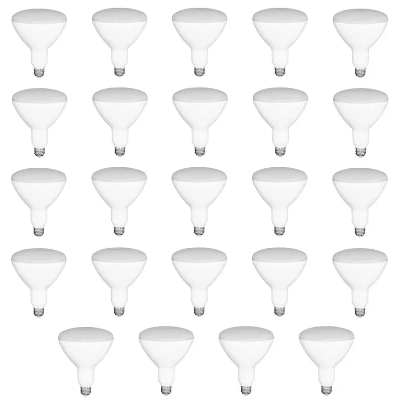 65-Watt Equivalent BR30 Dimmable LED Light Bulb Daylight (24-Pack)Daylight