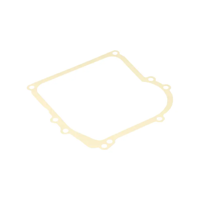 Briggs and Stratton 270895 Crankcase Gasket