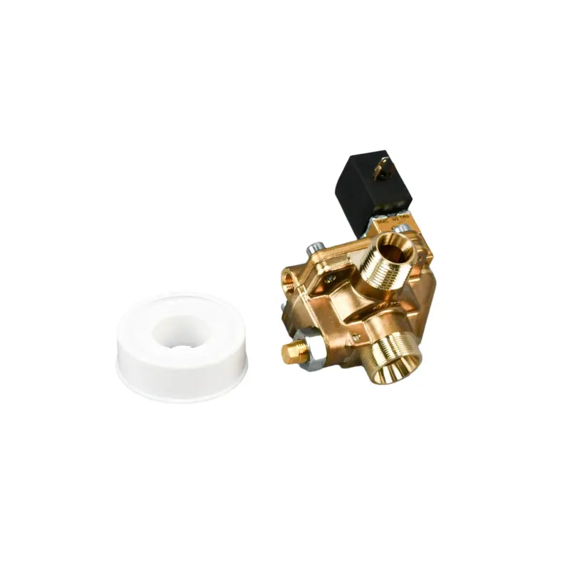 Kaeser Control & Venting Valve Replacement - 214181E2