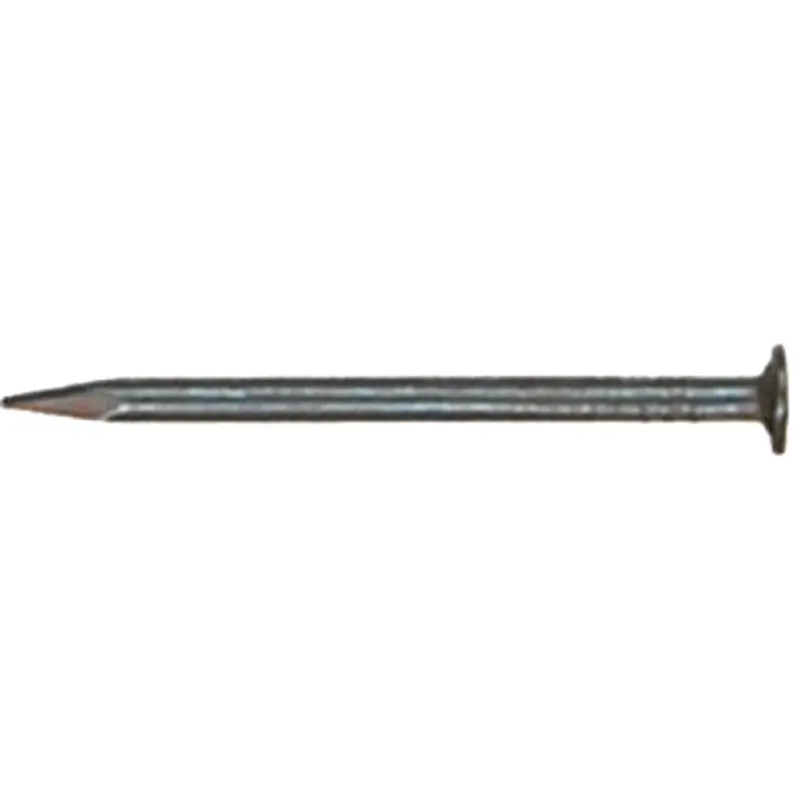 NAIL 1-3/4 EG ROOF 1 LB