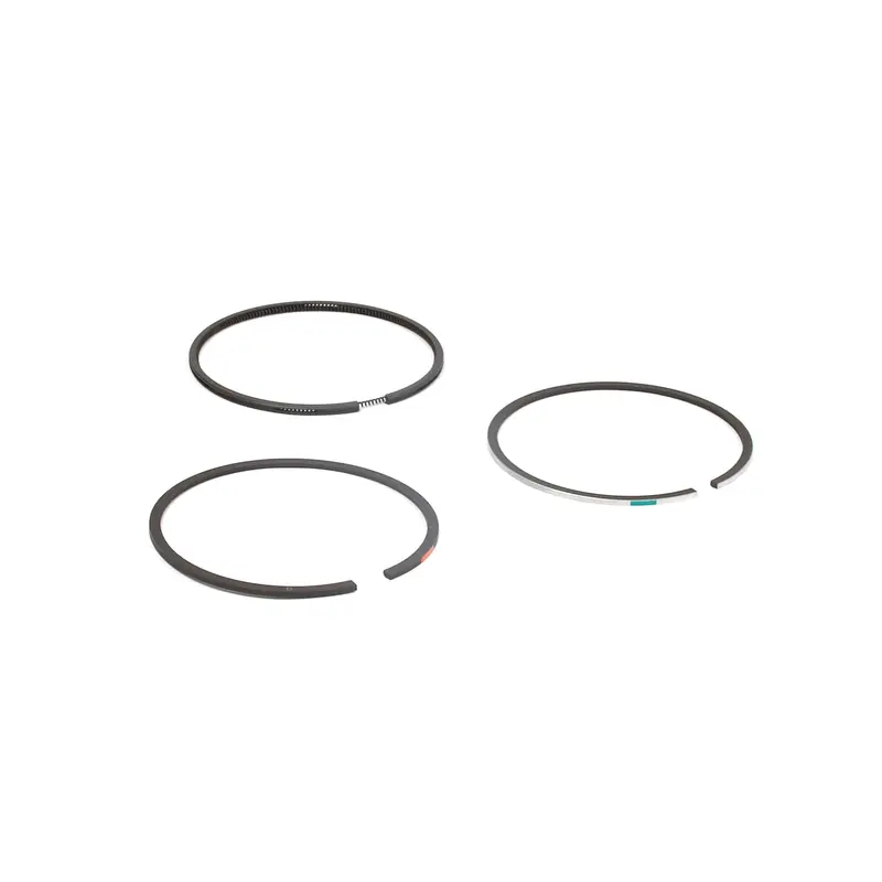 Briggs and Stratton 555667 Ring Set - .030 Oversize