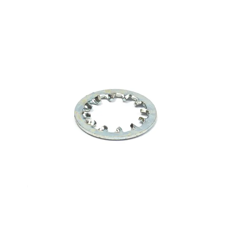 Briggs and Stratton 7090509YP LOCKWASHER, BZ