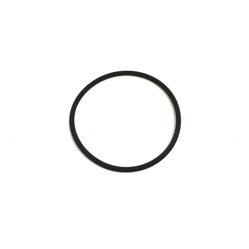 Gardner Denver O-ring Replacement - 2009697