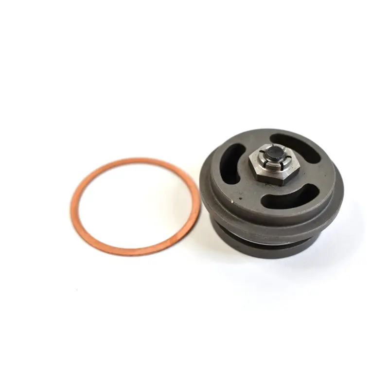 Saylor-Beall Valve Assembly Replacement - 4267