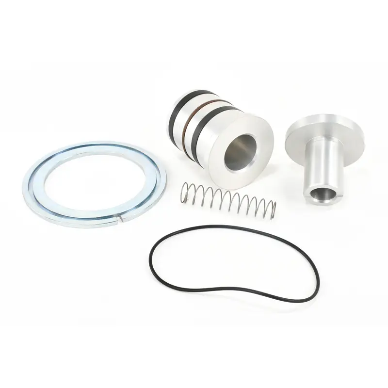 ELGi Minimum Pressure Check Valve Kit Replacement - B009301070004