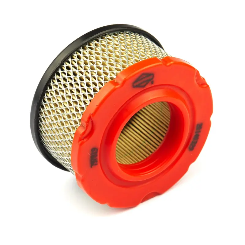 Briggs and Stratton 797819 Air Cleaner Cartridge Filter