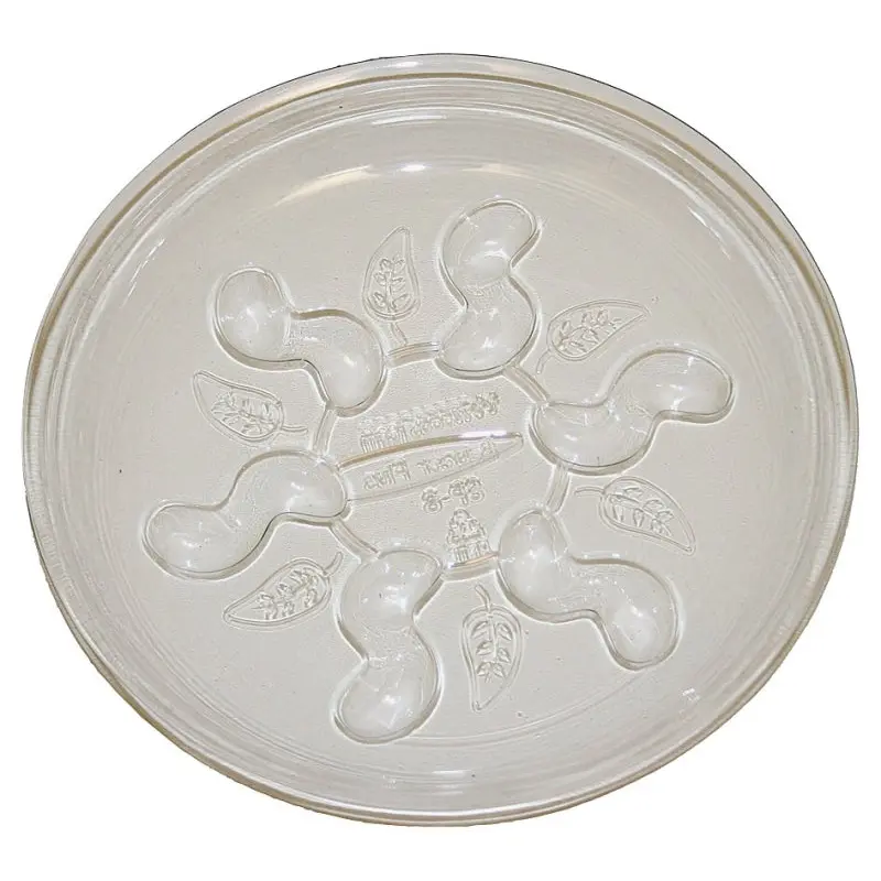 Gardener's Blue Ribbon Saucer Plus SP12 Plant Saucer, 12 in Dia, Plastic, Clear