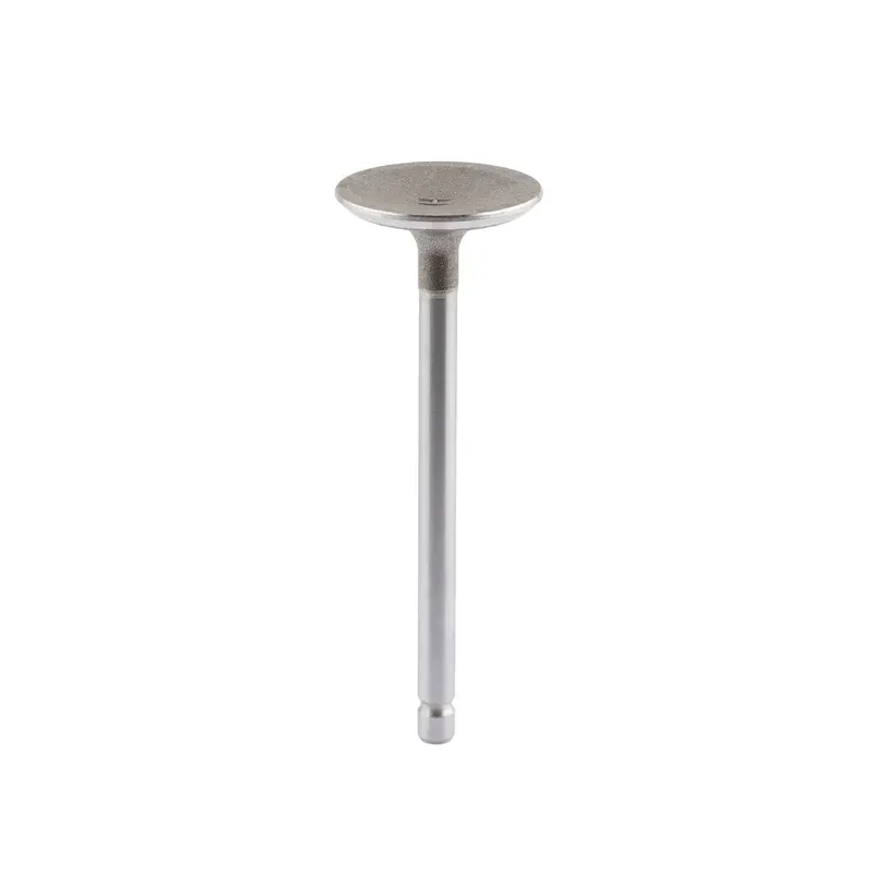 Briggs and Stratton 792200 Intake Valve