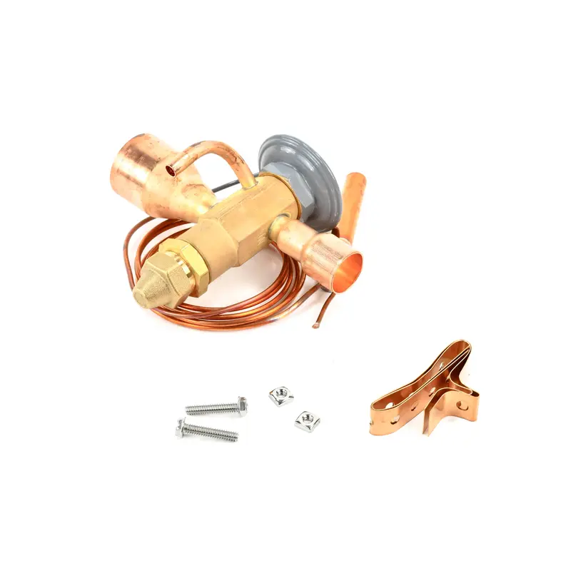 Kaeser Thermal Expansion Valve Replacement - US3232533