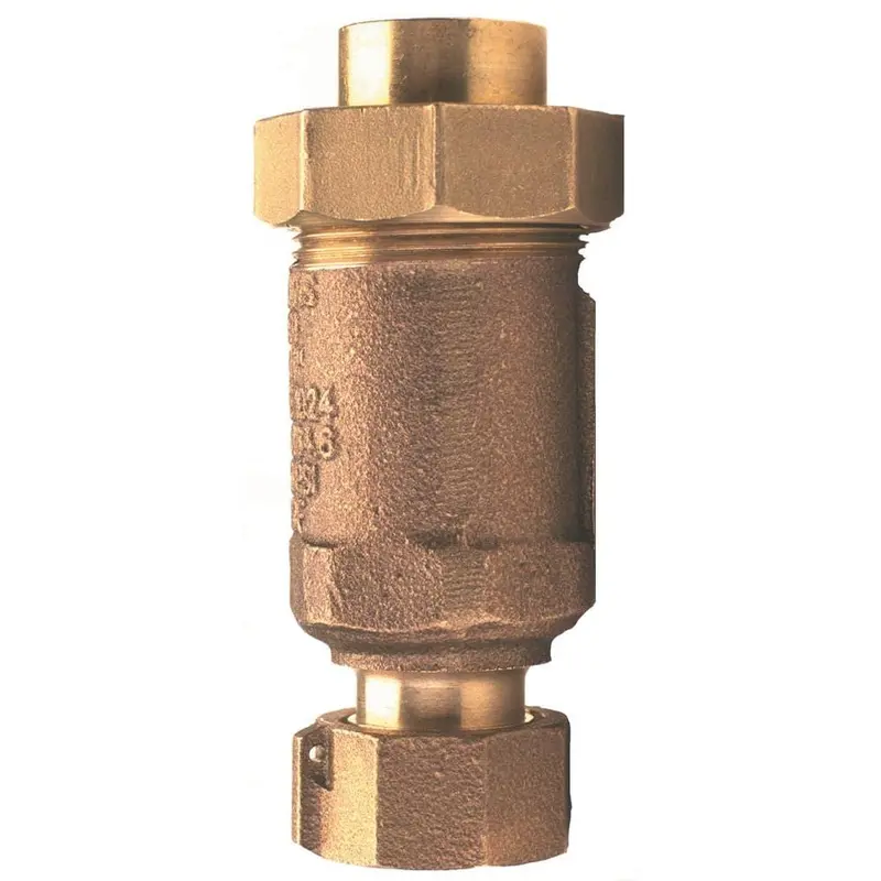 1/2 in. FNPT Inlet and Outlet Lead-Free Dual Check Valve1 / each