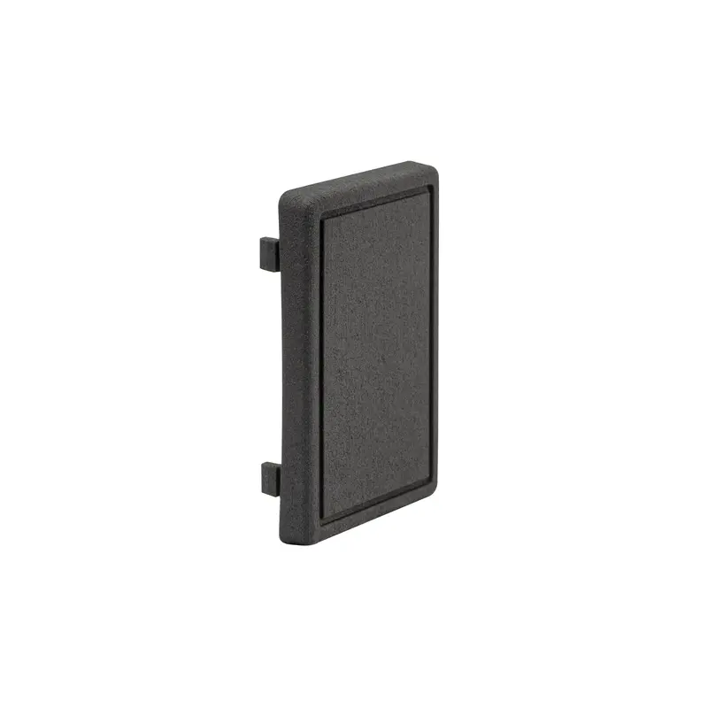 Cover Plate for Rear Heater Switch [Vanagon]